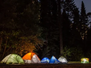 Top Camping Essentials You Need for Your Next Adventure - Decorased