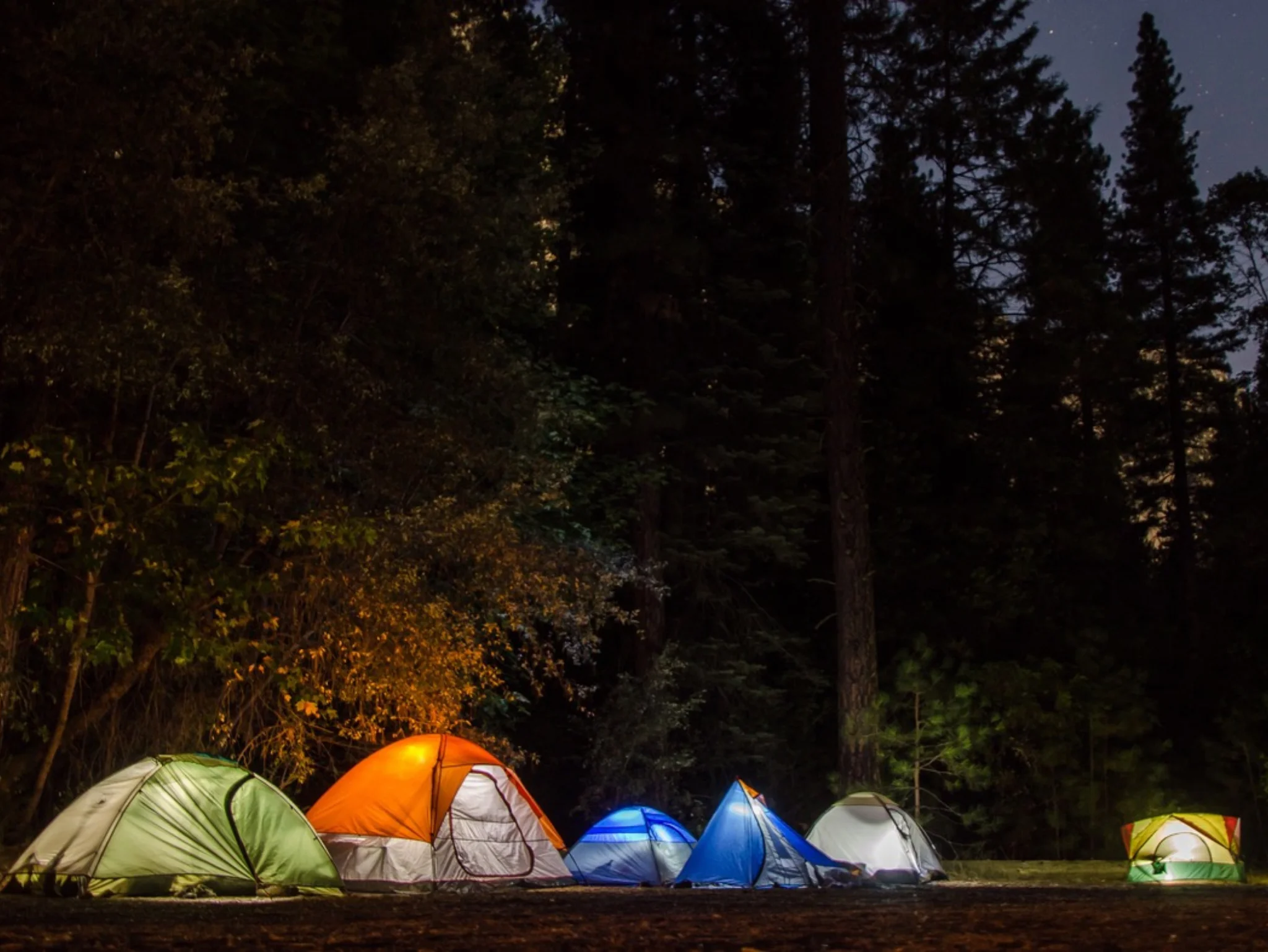 Top Camping Essentials You Need for Your Next Adventure - Decorased