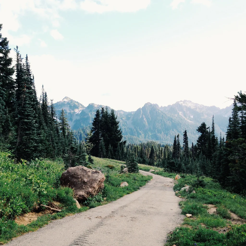 What “Find Your Road” Really Means: Why Nature Inspires Us to Keep Going - Decorased