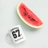 I Survived 67 Days of School Mug – Funny School Milestone Ceramic Cup